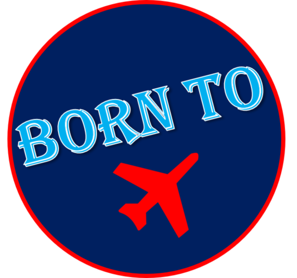 Image of Pin Badge 'Born To Fly' Navy Blue Red